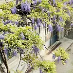 Inner Garden * 밀라노